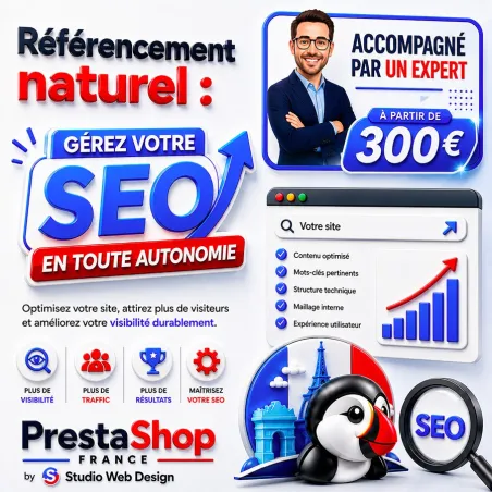 Référencement naturel autonome avec conseils d'un expert SEO